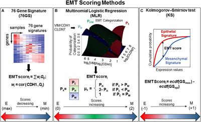 Comparative Study of Transcriptomics-Based Scoring Metrics for the Epithelial-Hybrid-Mesenchymal Spectrum